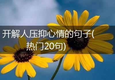开解人压抑心情的句子(热门20句)