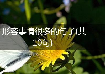 形容事情很多的句子(共10句)