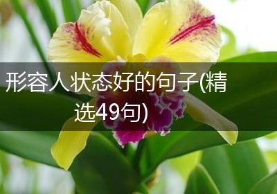 形容人状态好的句子(精选49句)