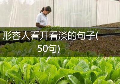 形容人看开看淡的句子(50句)