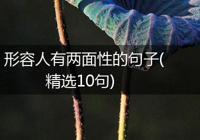 形容人有两面性的句子(精选10句)