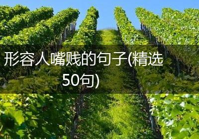 形容人嘴贱的句子(精选50句)