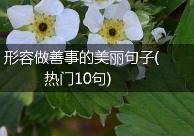 形容做善事的美丽句子(热门10句)