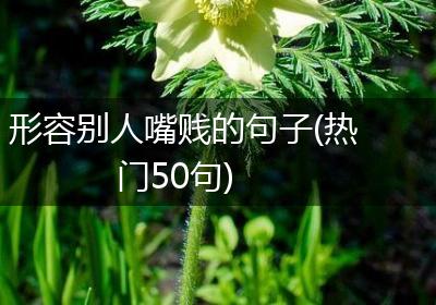 形容别人嘴贱的句子(热门50句)
