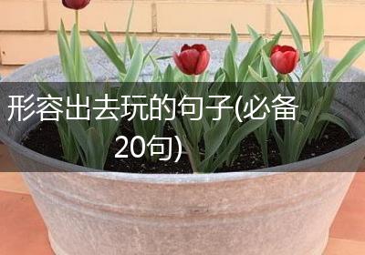 形容出去玩的句子(必备20句)