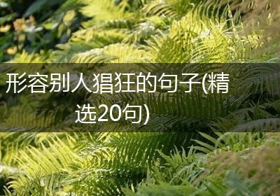形容别人猖狂的句子(精选20句)