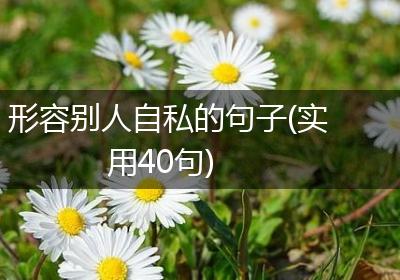 形容别人自私的句子(实用40句)