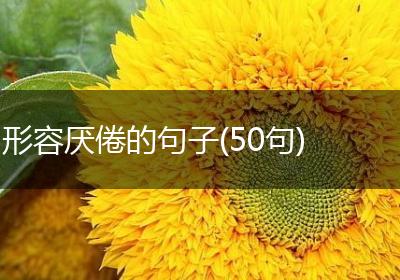 形容厌倦的句子(50句)
