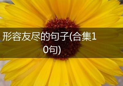 形容友尽的句子(合集10句)