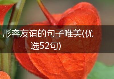 形容友谊的句子唯美(优选52句)