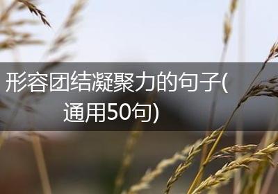 形容团结凝聚力的句子(通用50句)
