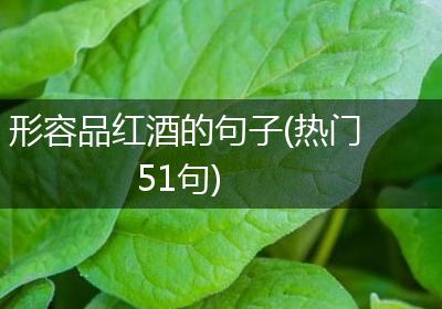 形容品红酒的句子(热门51句)