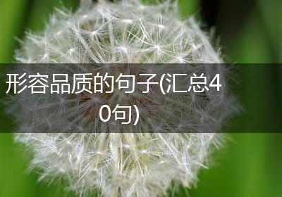 形容品质的句子(汇总40句)