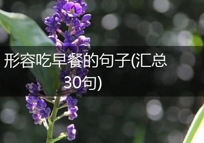 形容吃早餐的句子(汇总30句)