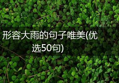 形容大雨的句子唯美(优选50句)