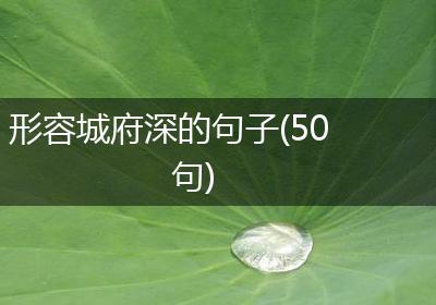 形容城府深的句子(50句)
