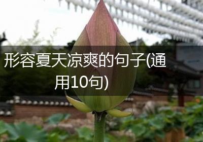 形容夏天凉爽的句子(通用10句)