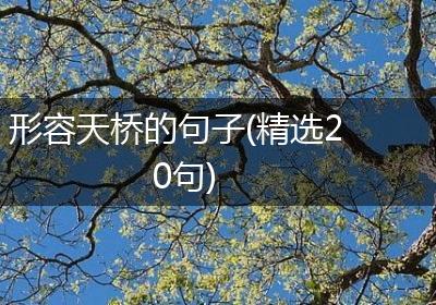 形容天桥的句子(精选20句)
