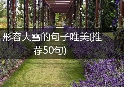 形容大雪的句子唯美(推荐50句)