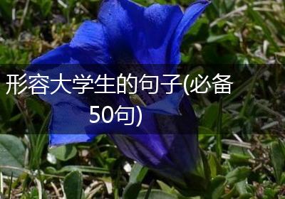 形容大学生的句子(必备50句)