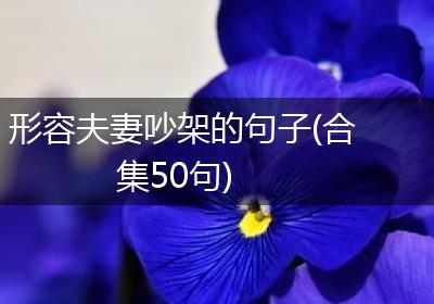 形容夫妻吵架的句子(合集50句)