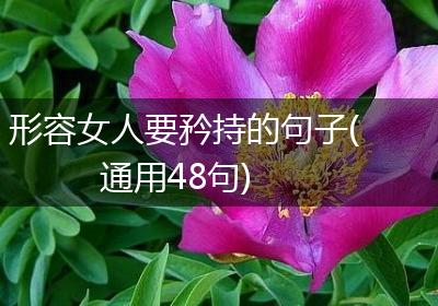 形容女人要矜持的句子(通用48句)