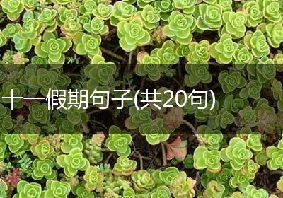 十一假期句子(共20句)