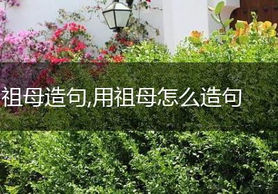 祖母造句,用祖母怎么造句