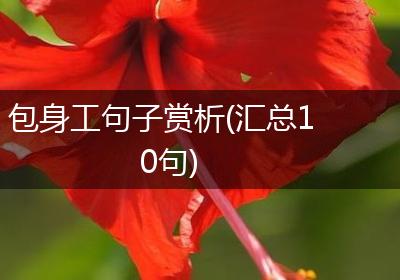 包身工句子赏析(汇总10句)