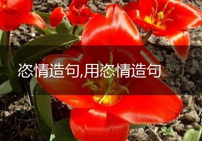 恣情造句,用恣情造句