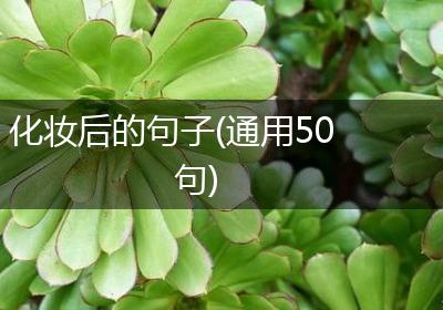 化妆后的句子(通用50句)