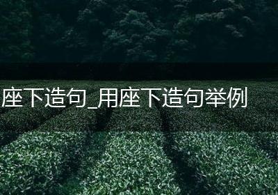 座下造句_用座下造句举例