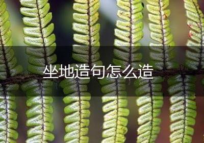 坐地造句怎么造