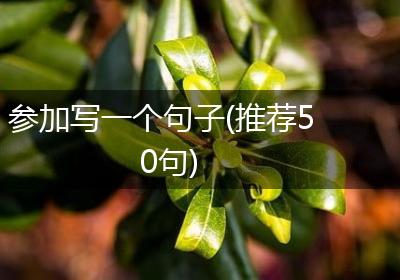 参加写一个句子(推荐50句)