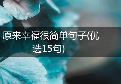 原来幸福很简单句子(优选15句)