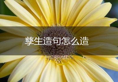 孳生造句怎么造