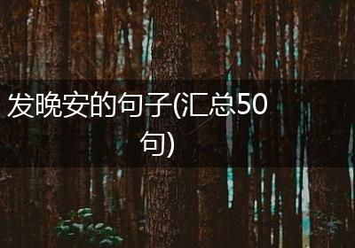 发晚安的句子(汇总50句)