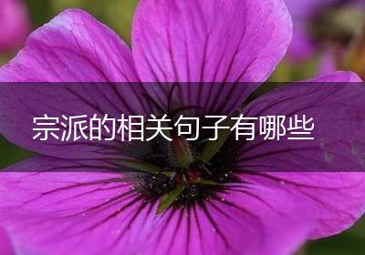 宗派的相关句子有哪些