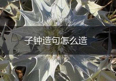子钟造句怎么造
