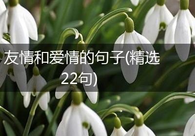 友情和爱情的句子(精选22句)
