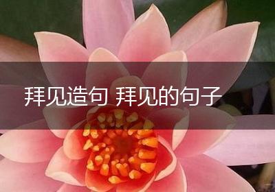 拜见造句 拜见的句子
