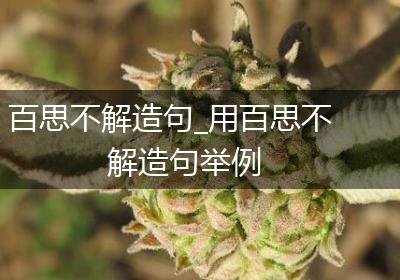 百思不解造句_用百思不解造句举例