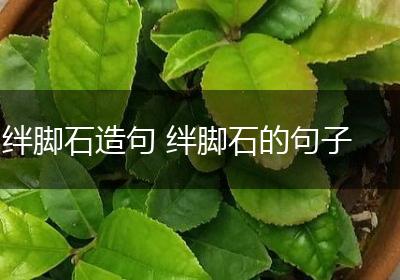 绊脚石造句 绊脚石的句子