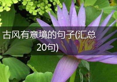 古风有意境的句子(汇总20句)