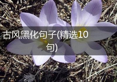 古风黑化句子(精选10句)