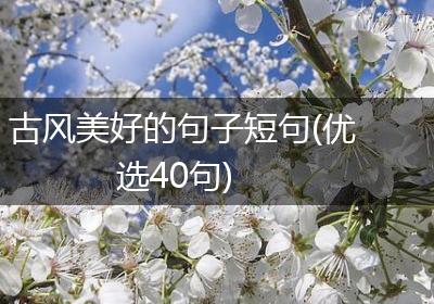 古风美好的句子短句(优选40句)