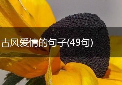 古风爱情的句子(49句)