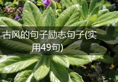 古风的句子励志句子(实用49句)