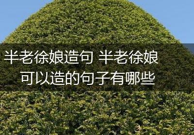 半老徐娘造句 半老徐娘可以造的句子有哪些