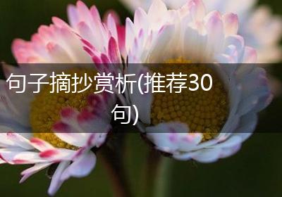 句子摘抄赏析(推荐30句)